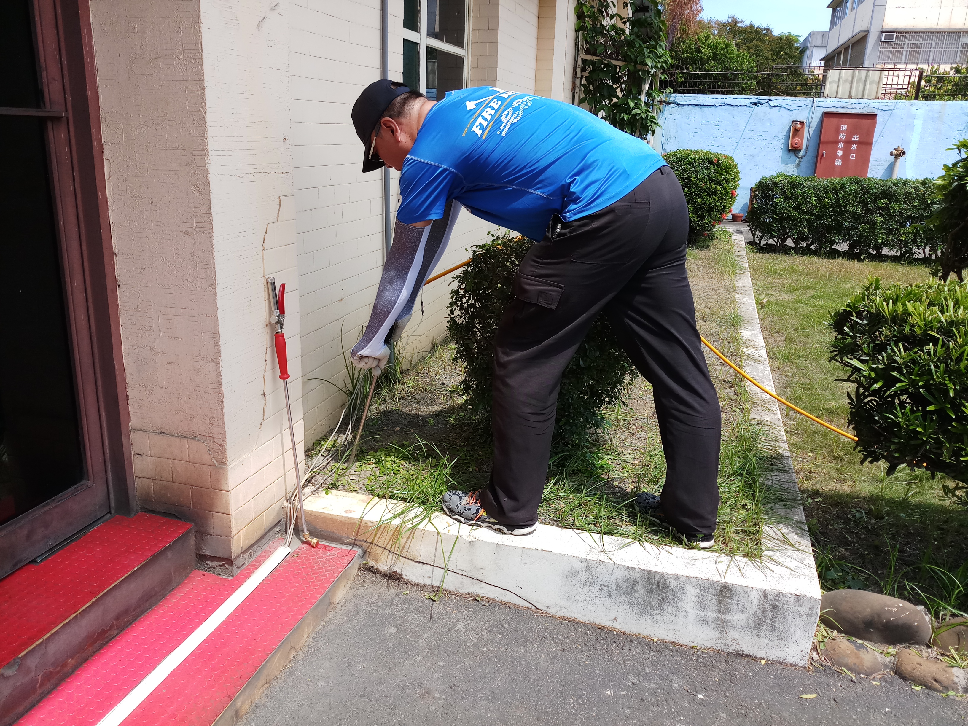 台南除白蟻除蟲防治