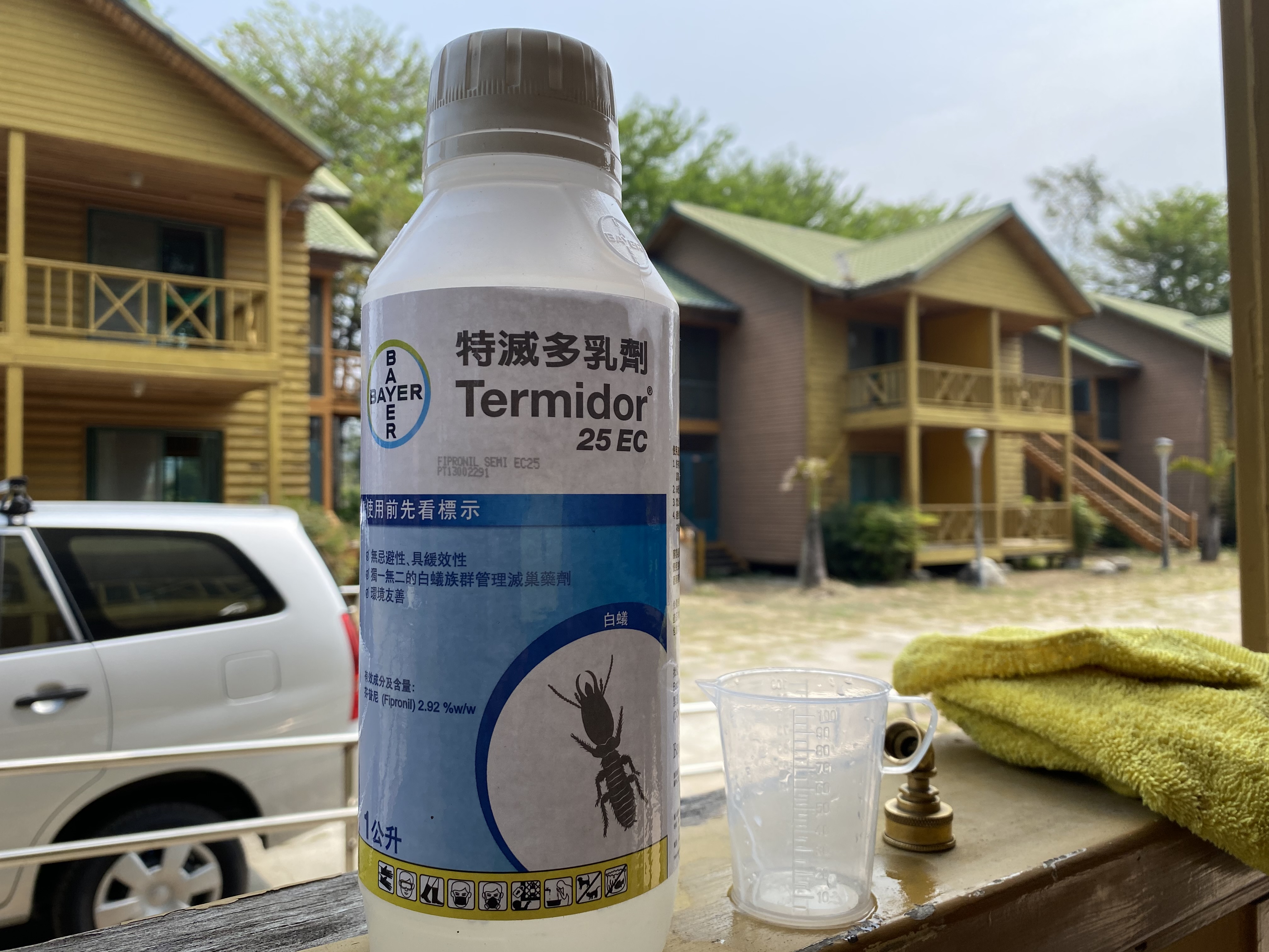 台南專業除白蟻  台南除蟲公司